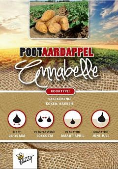 Buzzy - Pootaardappel Annabelle 1 kg