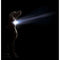 Hondenhalsband Dog Gone Smart Rood 12 Licht