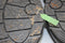 uvex 6593 6593844 Werkschoenen O1 Schoenmaat (EU): 44 Zwart 1 paar