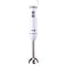Handblender Fagor Divamix Wish Staal 1000 W