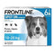 FRONTLINE Spot On dog 10-20kg - 6 pipetten