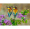 Annas collection - Buiten Canvas 58 x 78 cm 2 Bijeneters