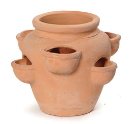 Mcollections - Bloembak Aardbeienpot whitewash 6 cm cups d35 cm h28,5 cm Mcollections