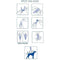 VETOCANIS Pipet Action Duo Spot on - Vlooien- en tekenafweermiddel voor grote honden - Set van 2...