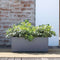 Kubblomkruka - DEROMA - Millennium R - Antracit - Med vattenreserv - 39 cm