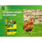 Jätte uppblåsbar rutschkana - BESTWAY - 52453 - 247 x 124 x 100 cm - 3 år och över - 75 kg