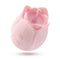 Massager Blush Play with me Roze