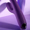 Dubbele Stimulatie Vibrator Evolved Playboy Paars