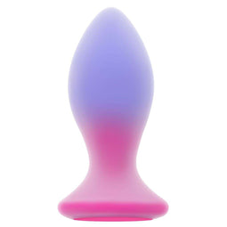 Anale Plug Evolved Multicolour (8,9 cm)