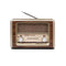 Draagbare Bluetooth Radio Kooltech Retro AM/FM