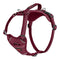 Hondentuigje Company of Animals Bordeaux XL 50-78 cm