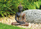 Boeddha in zwart/goud van poly, B21 x D12 x H27 cm.