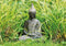 Boeddha van poly, B23 x D13 x H33 cm