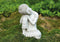Boeddha zittend in grijs van poly, B14 x H20 cm