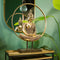 Displaystand Buddha in cirkel van poly, metaal goud (B/H/D) 49x65x17cm