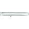 Hondenriem Trixie CityStyle Groen L/XL
