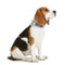 Hondenhalsband Hunter VARIO BASIC Blauw XL 45-65 cm