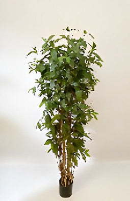 Oosterik home - Dracaena surculosa 180 cm kunstplant Oosterik Home