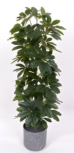 Oosterik home - Scheffelera arboricola 90 cm kunstplant Oosterik Home