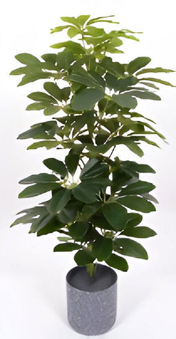 Oosterik home - Scheffelera arboricola 70 cm kunstplant Oosterik Home