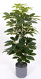 Oosterik home - Scheffelera arboricola 70 cm kunstplant Oosterik Home