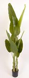 Oosterik home - Trave palm 180 cm kunstplant Oosterik Home
