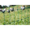 Gevogelte E Net - KERBL - 25 m - 106 cm - Dubbele punt - Groen