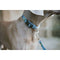 Hondenriem Hunter Blauw 100 cm