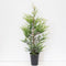 Warentuin natuurlijk - Cupressocyparis leyl castlewellan gold 125-150 cm