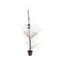Warentuin natuurlijk - Larix decidua 125-150 cm Conifeer