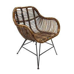 Van der leeden - Rattan Iron Legs Dining Tuinstoel Van der Leeden