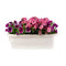Bama Fioriera Bloem-Balkonbak 60x20x18.5 cm Wit