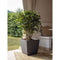 Bloembak - DIVA BASALT - Antracietgrijs - Vierkant - 42 L - 43,5 x 43,5 x H.44,2 cm - EDA - Uitne...