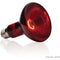 EXO TERRA Infraroodlamp Baskin Spot - 100 W - Voor terrarium