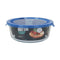 Hermetische Lunchtrommel Quttin Blauw Transparant 1,3 L (6 Stuks)
