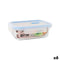 Hermetische Lunchtrommel Quttin Boho Transparant Rechthoekig 600 ml (6 Stuks)