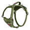 Hondentuigje Company of Animals Groen M 35-55 cm