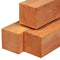 Tuindeco - Paal Red Class Wood 20,0x20,0x600 cm Tuindeco