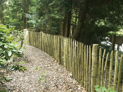 Tuindeco - Kastanjepaal dia. 7-9x250 cm Tuindeco