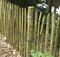 Tuindeco - Kastanjepaal dia. 7-9x175 cm Tuindeco