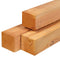 Tuindeco - Paal douglas 12,0x12,0x300 cm Tuindeco
