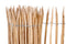 Tuindeco - Hazelaar hekwerk op rol L460xH100 cm /5 cm /3 draden Tuindeco