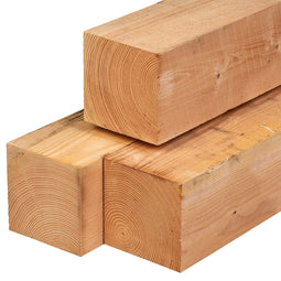 Tuindeco - Paal douglas 20,0x20,0x400 cm Tuindeco