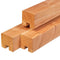 Tuindeco - Sleuf-/eindpaal douglas 11,5x11,5x300 cm Tuindeco