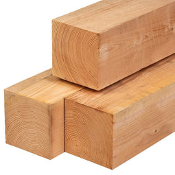 Tuindeco - Paal douglas 20,0x20,0x600 cm Tuindeco