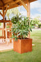 Tuindeco - Bloembak Hudson klein 50x50x50 cm Tuindeco