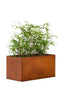 Tuindeco - Bloembak Hudson groot 120x60x60 cm Tuindeco