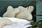 Elegance Butterfly Hoofdkussen Visco Schuim Soja - 46x53x12cm