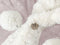 LINNICK Hoodie Flanel Fleece Deken Met Capuchon Croco - licht roze - 130x180cm