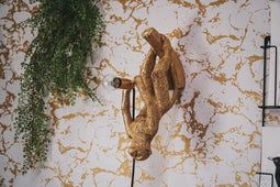 Housevitamin hangende apenlamp goud
